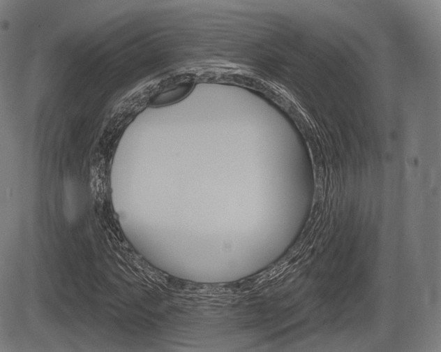 X0000083971063200702160722