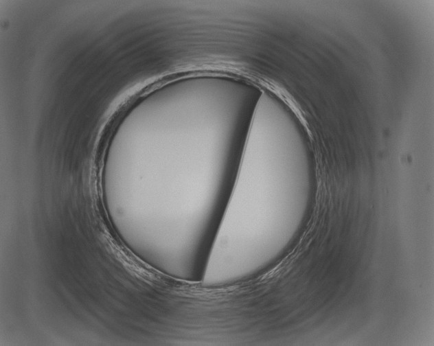 X0000083971072200702160722