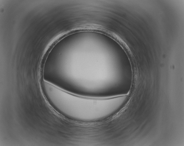X0000083971085200702160722