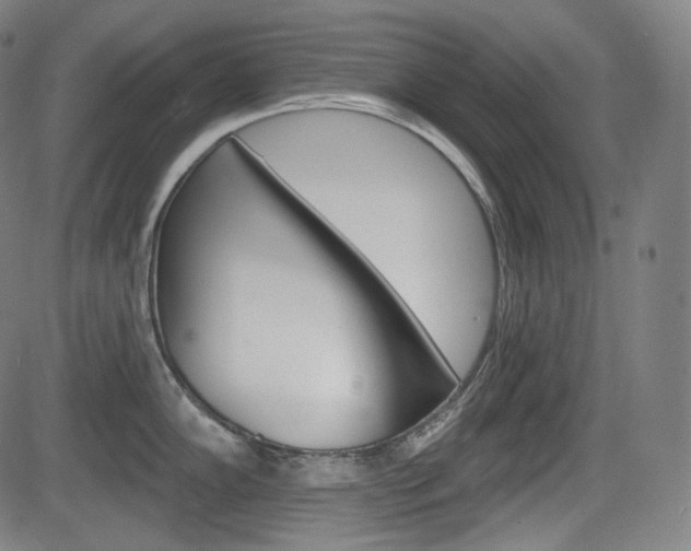 X0000083971102200702160721