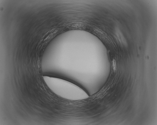 X0000083971107200702160720