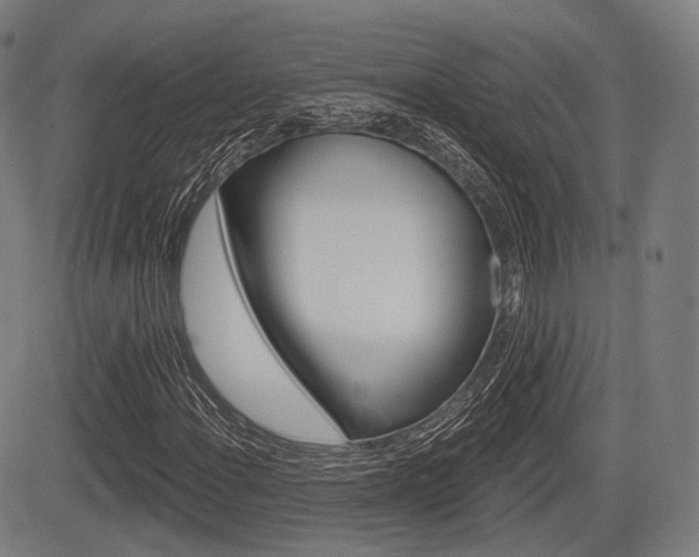 X0000083971108200702160720