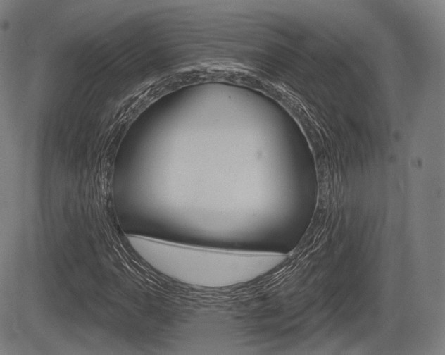 X0000083971110200702160721
