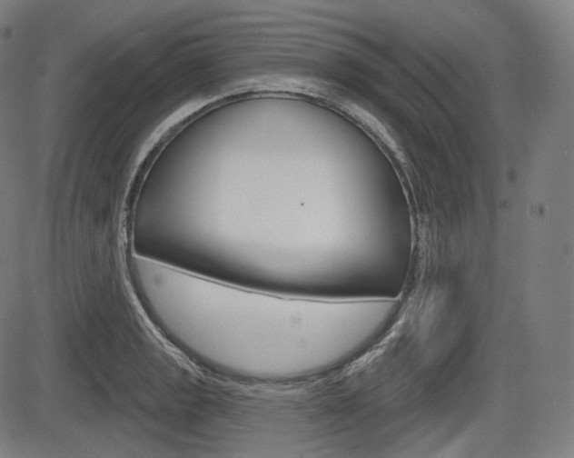 X0000083971133200702160721