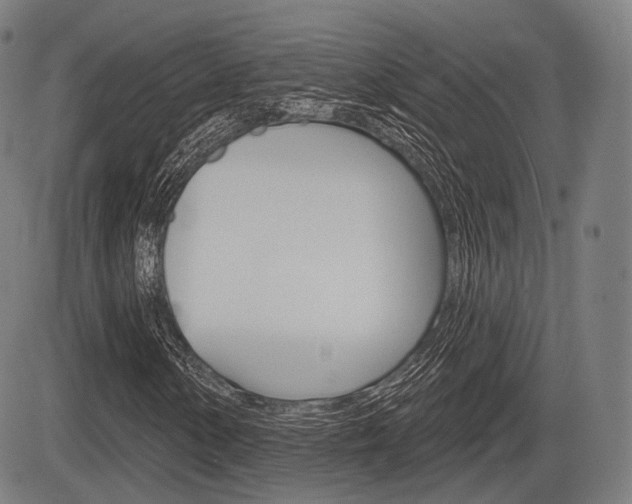 X0000083971154200702160720