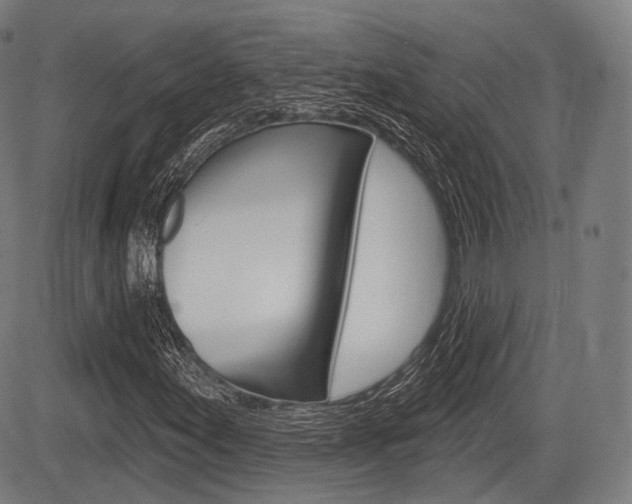 X0000083971155200702160720