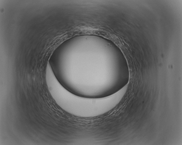X0000083971157200702160720