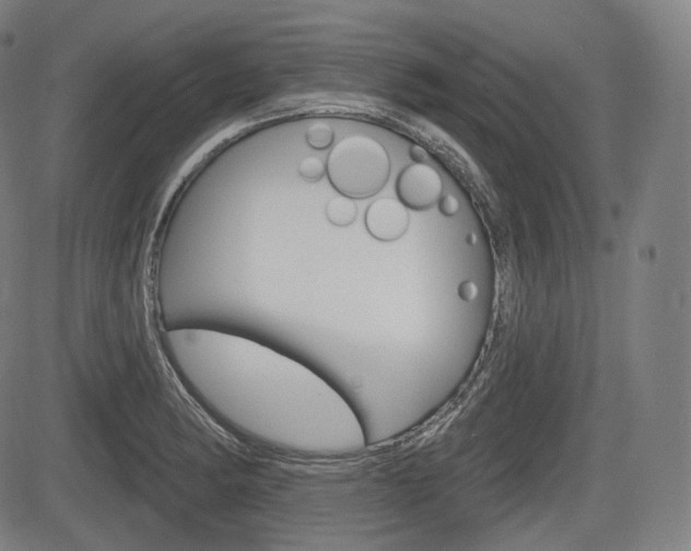 X0000083971182200702160720