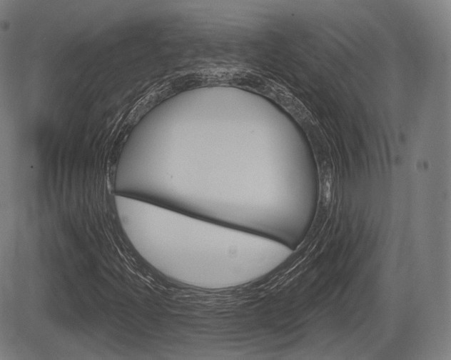 X0000083971204200702160719