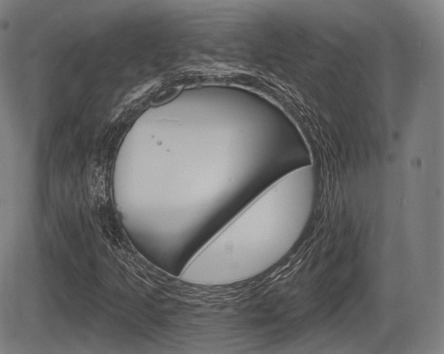 X0000083971205200702160719