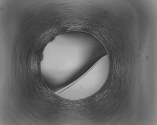 X0000083971250200702160719