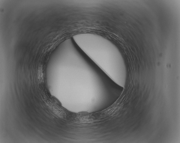 X0000083971252200702160719