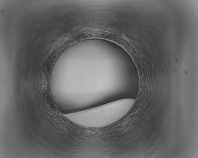 X0000083971253200702160719