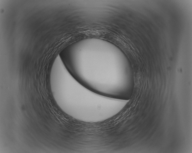 X0000083971297200702160717