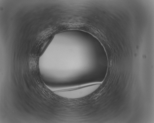 X0000083971300200702160717