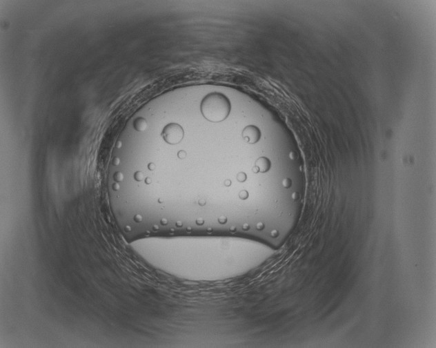 X0000083971302200702160717