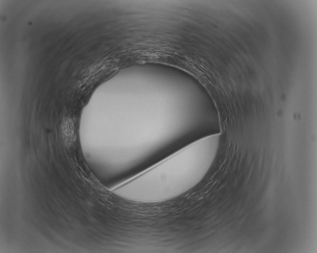X0000083971347200702160717