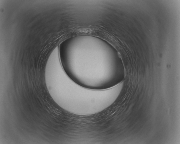 X0000083971394200702160716