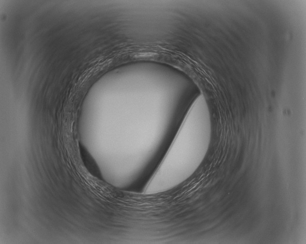 X0000083971441200702160716