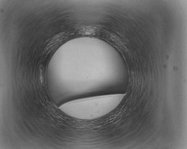 X0000083971442200702160716