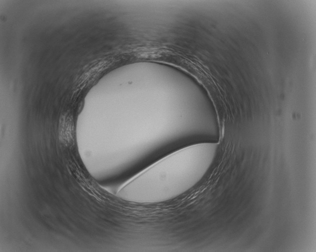 X0000083971444200702160716