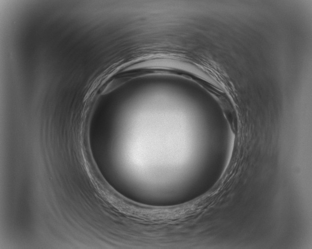 X0000083970001200702161115