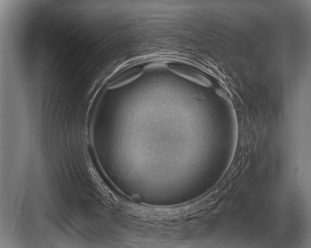 X0000083970002200702161115