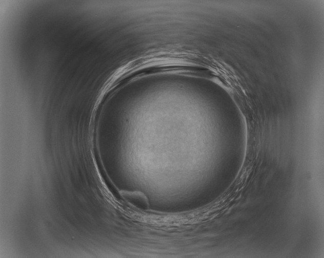 X0000083970003200702161115