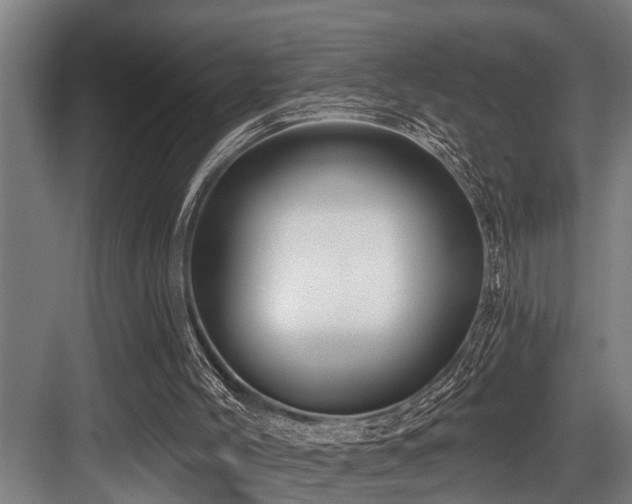 X0000083970004200702161115