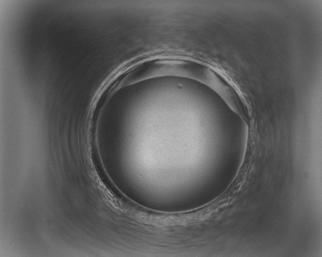 X0000083970007200702161115