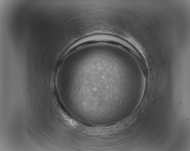X0000083970009200702161115