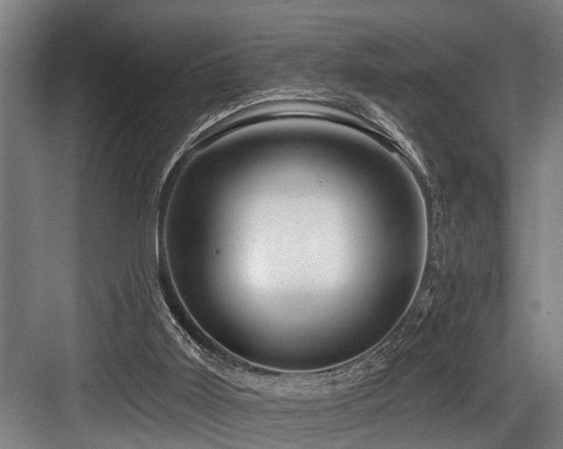 X0000083970011200702161115