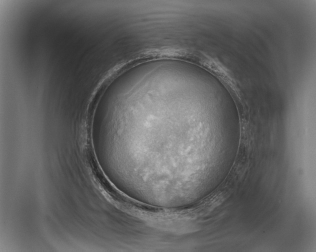 X0000083970012200702161115