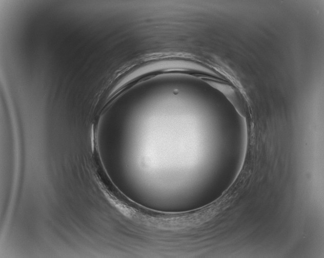 X0000083970013200702161115