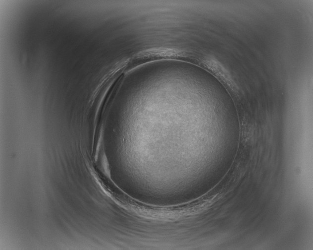 X0000083970014200702161115