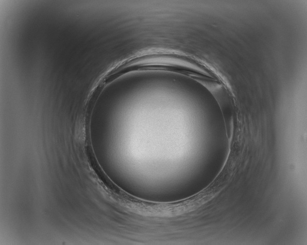 X0000083970015200702161115