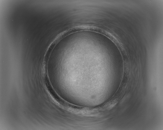 X0000083970016200702161115