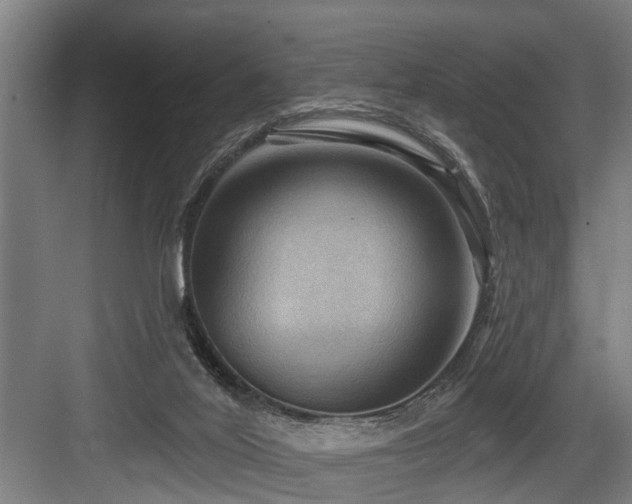 X0000083970020200702161115