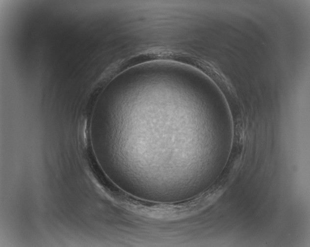 X0000083970024200702161115