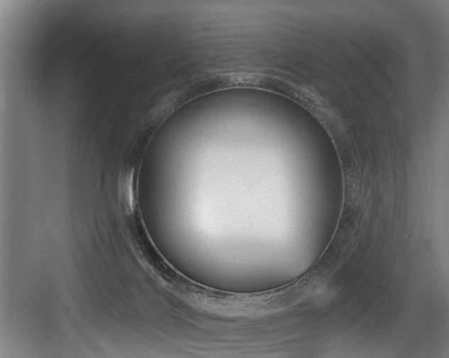 X0000083970028200702161115