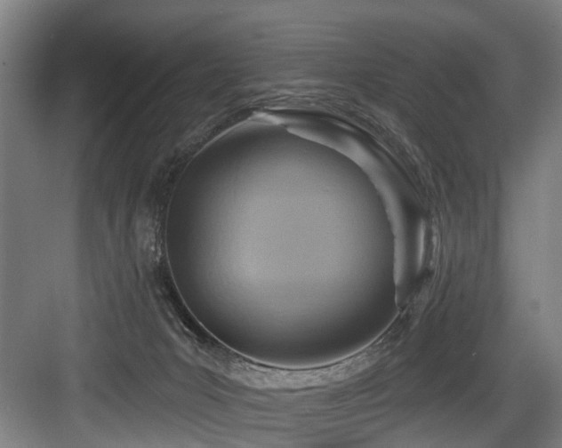 X0000083970031200702161115