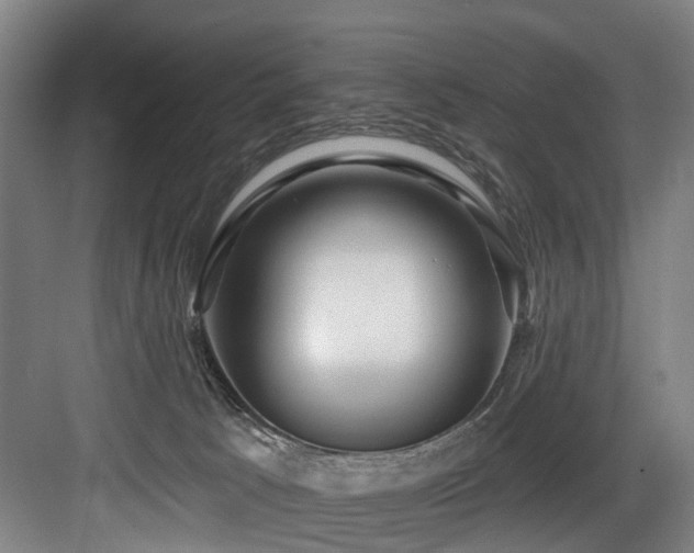X0000083970033200702161115