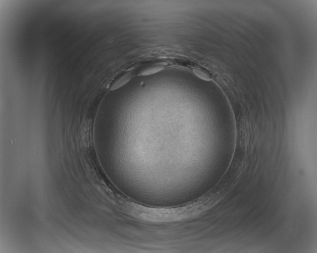 X0000083970034200702161115