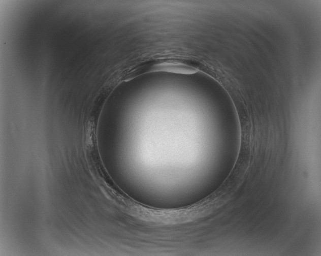 X0000083970038200702161115
