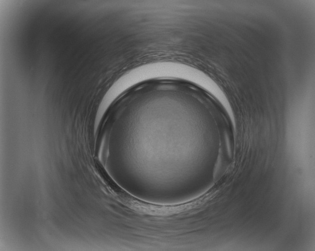 X0000083970039200702161115