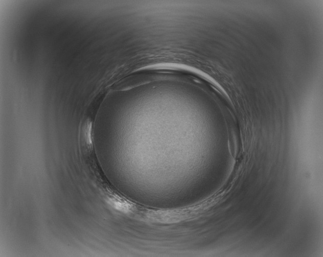 X0000083970041200702161115