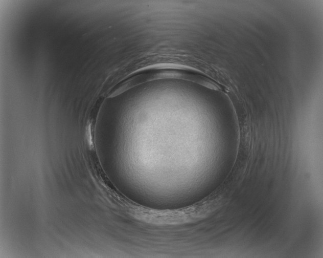 X0000083970042200702161115