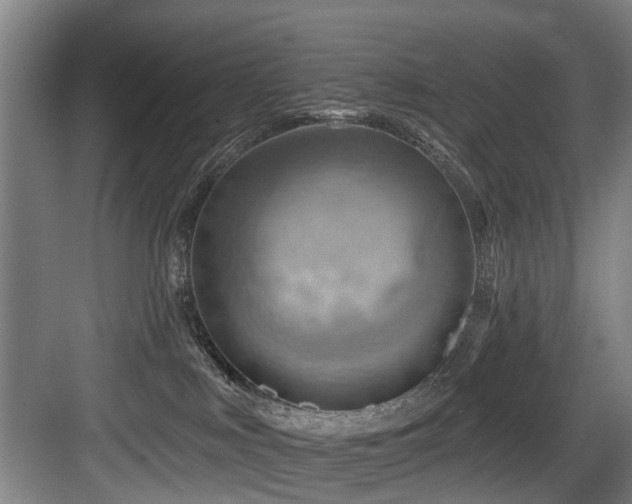 X0000083970043200702161115
