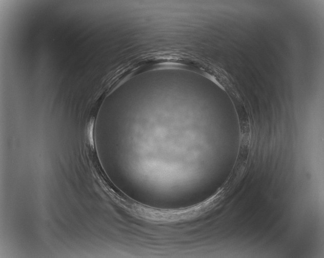 X0000083970047200702161115