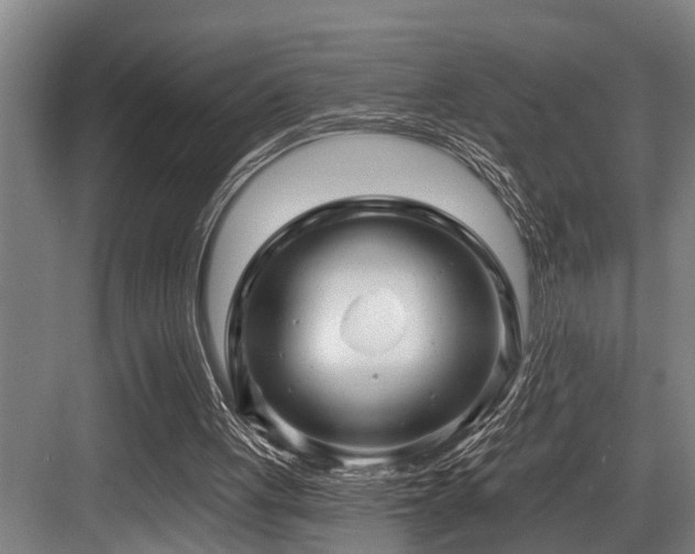 X0000083970051200702161114